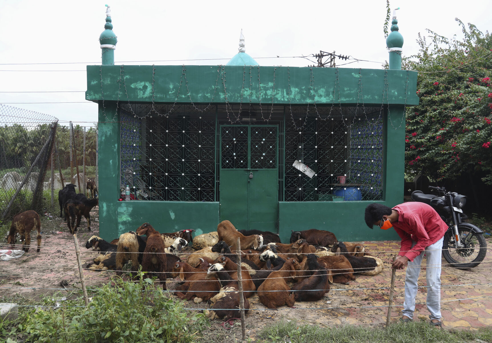 India Eid